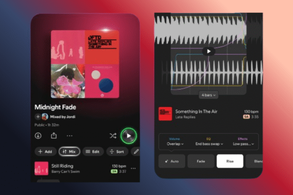 Spotify Premium Users