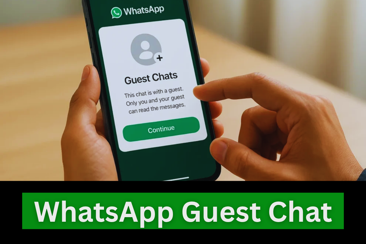 WhatsApp Guest Chat