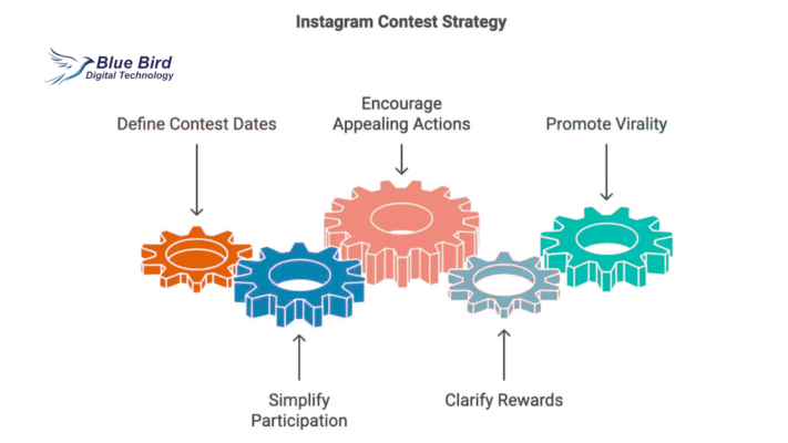 Instagram Contests
