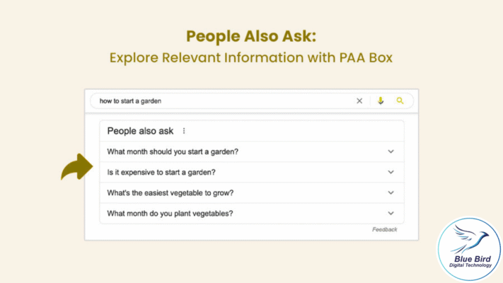 PAA Box