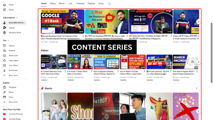 YouTube subscribers growth Playlist/series layout screenshot