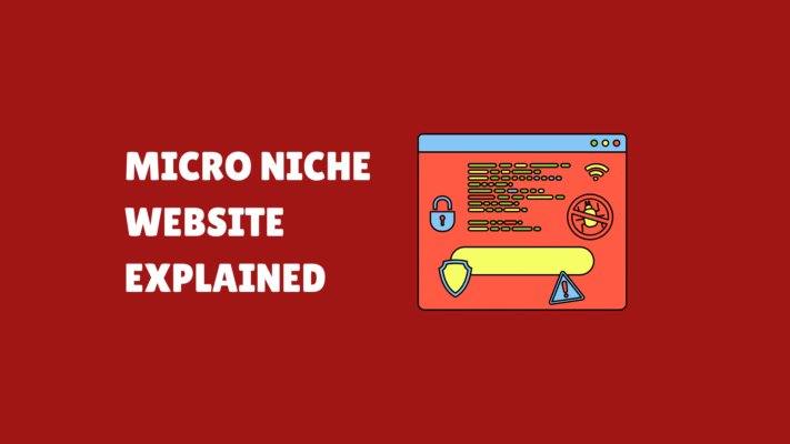 Micro Niche Website